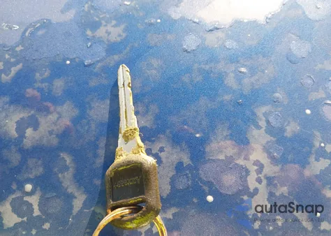 1997 Chevrolet K1500 Fleetside из США, поврежденный, VIN 2GCEK19R8V1125041